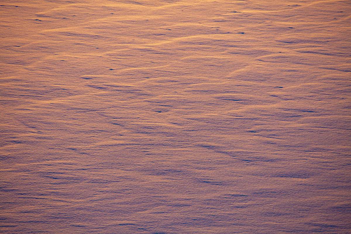 snow covered sea ice  outdoors